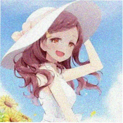 用户 胶片收藏家 头像